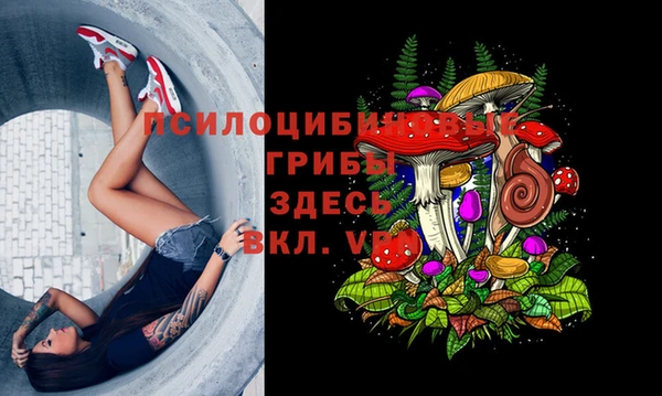 тгк Балахна