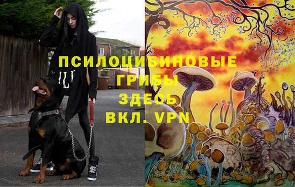 прущая мука Баксан