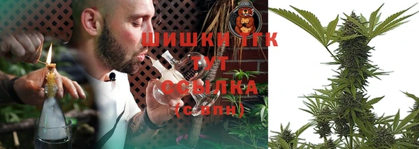 тгк Балахна