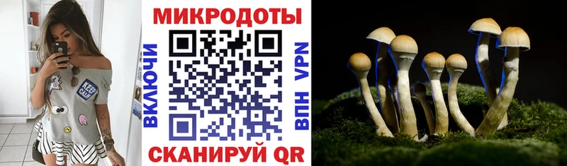 Псилоцибиновые грибы Psilocybine cubensis Красноперекопск